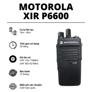 motorola-p6600